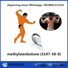 Anti stéroïdes crus Methylstenbolone d&#39;oestrogène